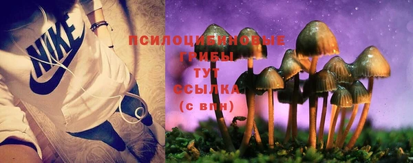 экстази Абаза