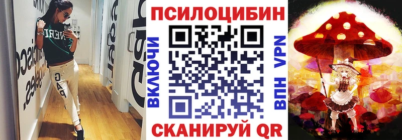сколько стоит Кызыл Псилоцибиновые грибы прущие грибы