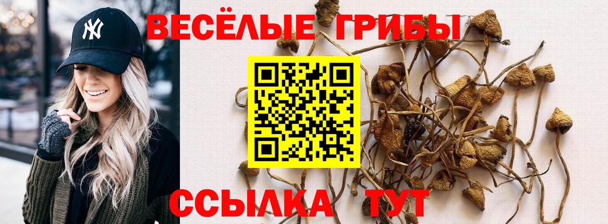 Кызыл  Галлюциногенные грибы Magic Shrooms  Вход с VPN 