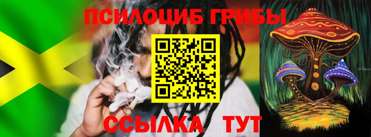 Псилоцибиновые грибы прущие грибы Кызыл